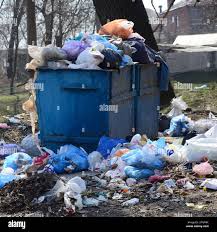 Best Construction Debris Removal  in Fort Branch, IN